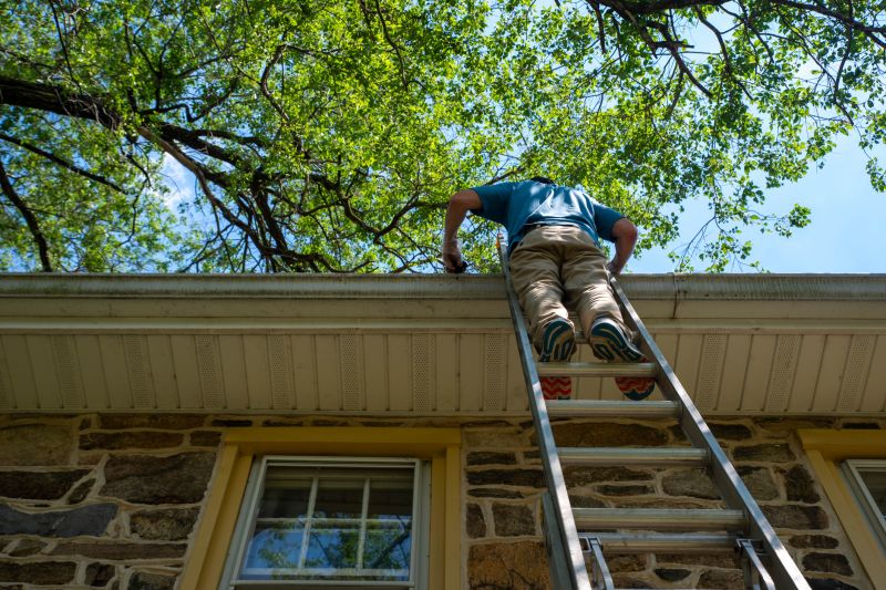 Summer Roof Repairs